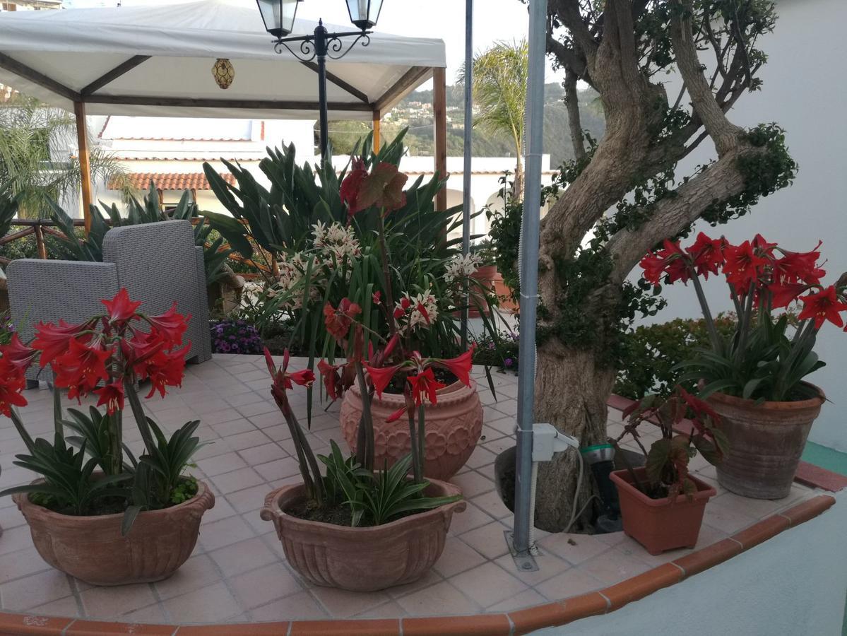 Villa Loreta Forio  Екстер'єр фото