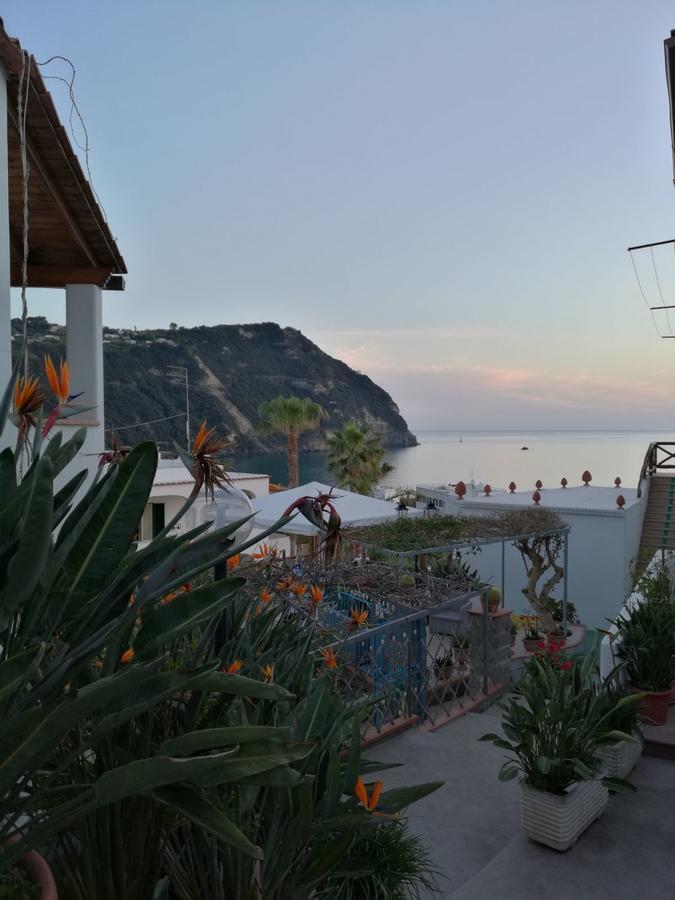 Villa Loreta Forio  Екстер'єр фото
