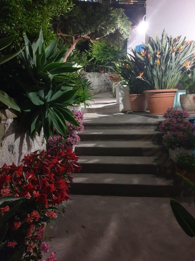 Villa Loreta Forio  Екстер'єр фото